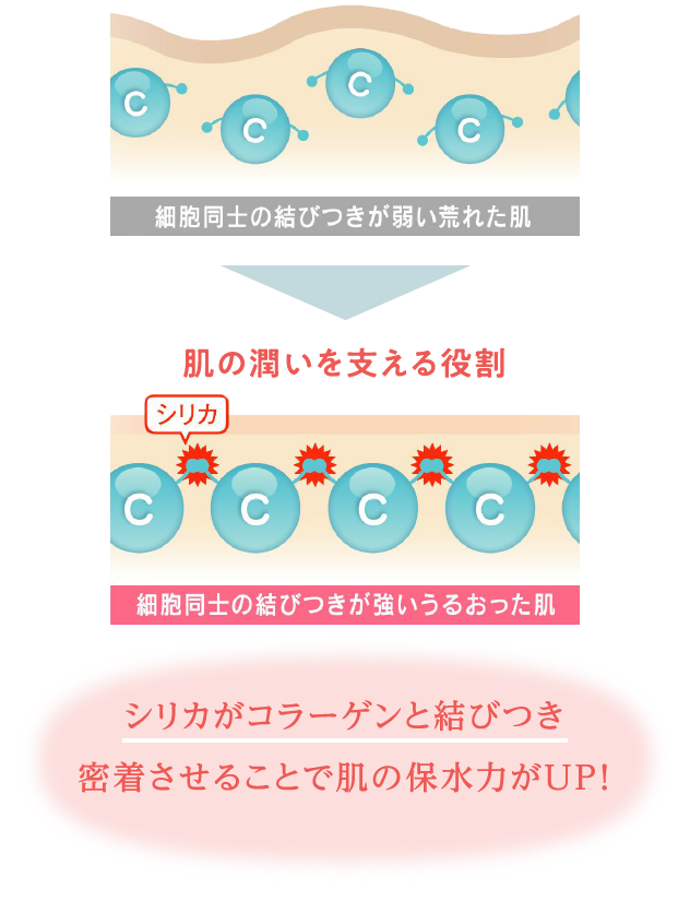 シリカが肌に与える影響イラスト